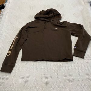 Champion Brown Cropped Hoodie (M)